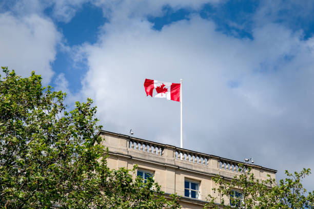 istock Waving Canadian flag against the blue sky 1147463692