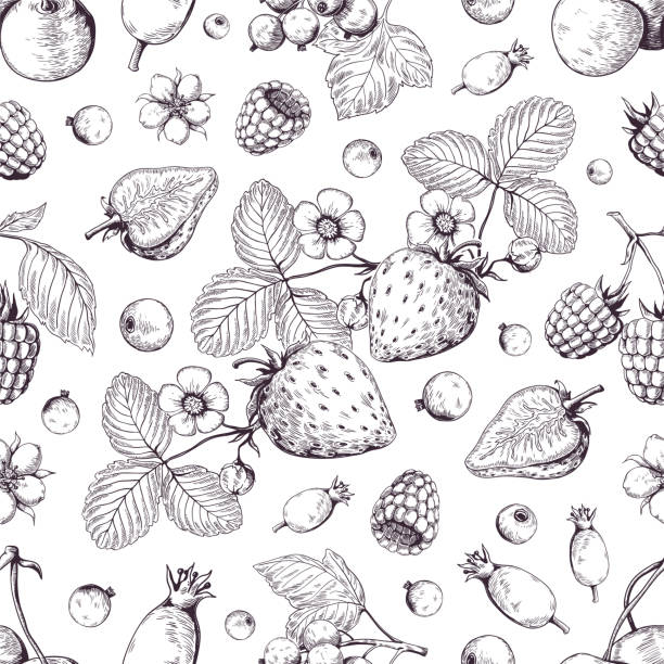 Hand drawn berries pattern. Vintage forest cherry strawberry blackberry cranberry sketch drawing. Vector dessert menu background Hand drawn berries pattern. Vintage forest cherry strawberry blackberry cranberry sketch drawing. Vector dessert vintage menu background mango jam stock illustrations