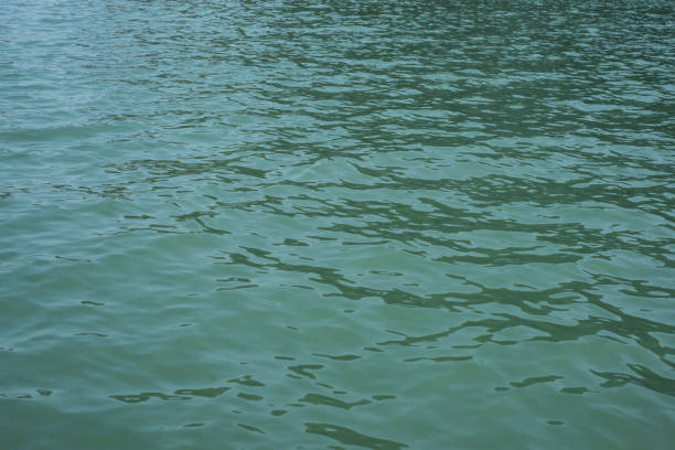 istock Sea surface in the Lahna Bay. 1147464623