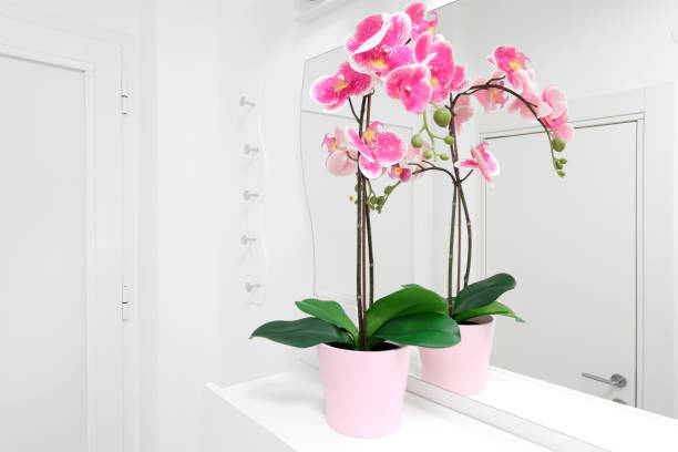 Decoration of the private apartment