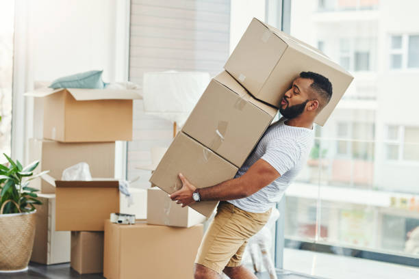 Making a clumsy attempt to carry more than he can handle Shot of a young man carrying a pile of boxes while moving house retrieving stock pictures, royalty-free photos & images