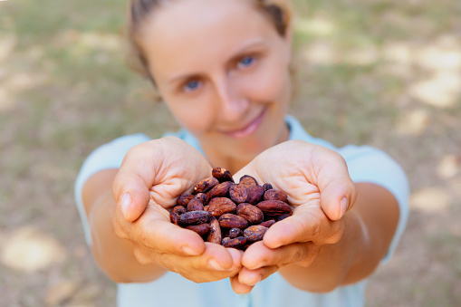 Cacao trees plantation harvest. Woman hold in hands brown dried fermented beans. Fruit of cocoa plants used in food industry for producing chocolate, natural butter, powder, drinks, healthy nutrition.