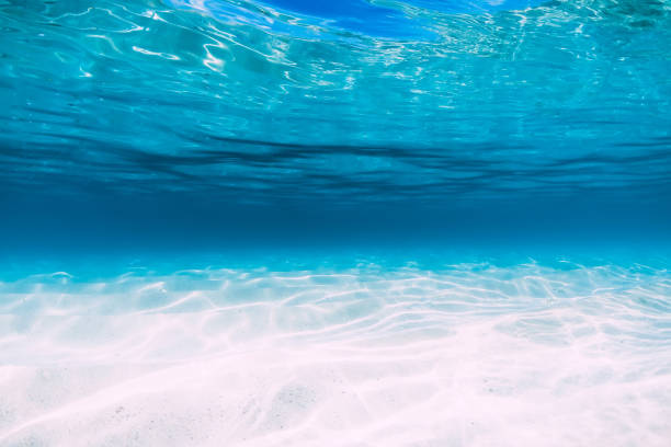istock Tropical blue ocean with white sand underwater in Hawaii 1147470945