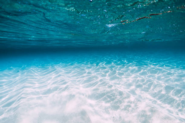 istock Tropical blue ocean with white sand underwater in Hawaii 1147470948