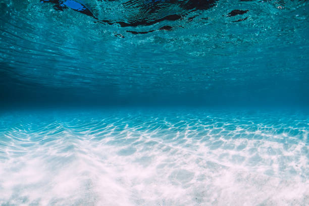 istock Tropical blue ocean with white sand underwater in Hawaii 1147470972
