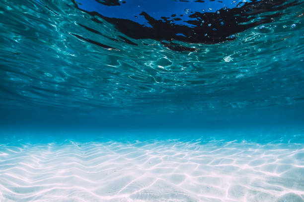 istock Tropical blue ocean with white sand underwater in Hawaii 1147470974