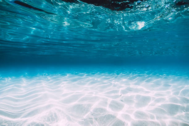 istock Tropical blue ocean with white sand underwater in Hawaii 1147470977
