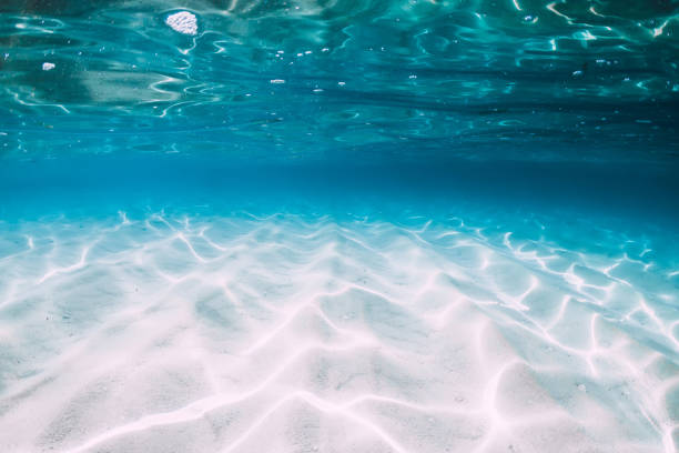 istock Tropical blue ocean with white sand underwater in Hawaii 1147471051