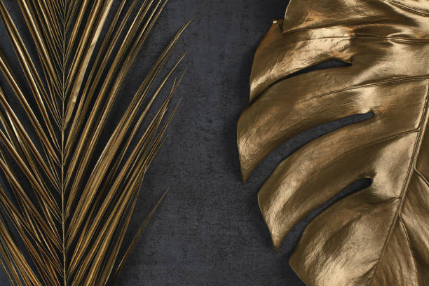 istock golden palm and monstera leaves on dark grey background 1147471620