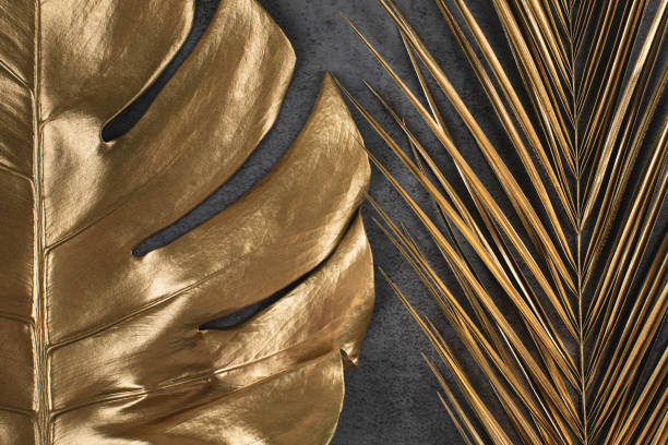 istock golden palm and monstera leaves on dark grey background 1147471621