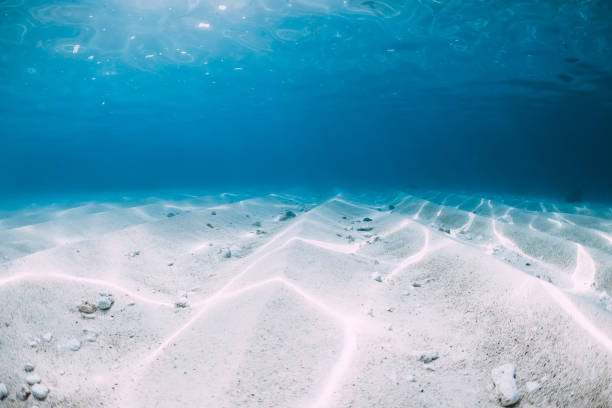 istock Tropical blue ocean with white sand underwater in Hawaii 1147471624