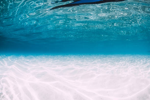 istock Tropical blue ocean with white sand underwater in Hawaii 1147471745