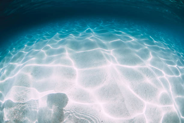 istock Tropical blue ocean with white sand underwater in Hawaii 1147471819