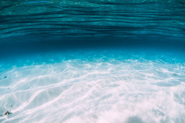istock Tropical blue ocean with white sand underwater in Hawaii 1147471867