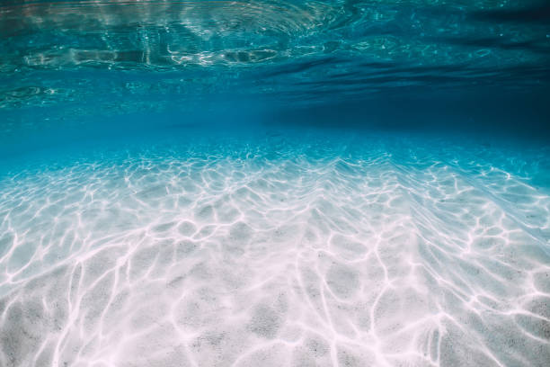 istock Tropical blue ocean with white sand underwater in Hawaii 1147471933