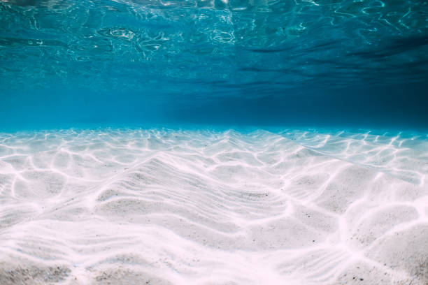 istock Tropical blue ocean with white sand underwater in Hawaii 1147472025