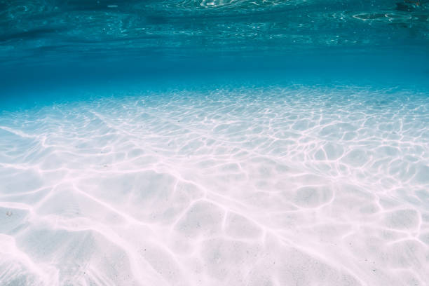 istock Tropical blue ocean with white sand underwater in Hawaii 1147472029