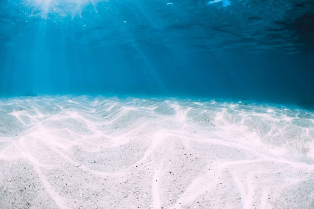 istock Tropical blue ocean with white sand underwater in Hawaii 1147472092