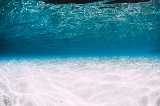 istock Tropical blue ocean with white sand underwater in Hawaii 1147472098
