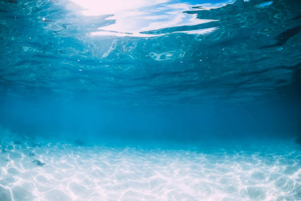 istock Tropical blue ocean with white sand underwater in Hawaii 1147472148