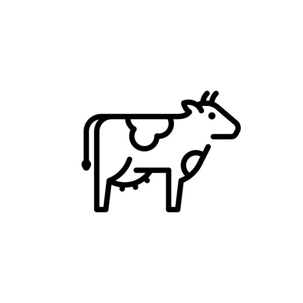 Vector Cow Icon Template Vector cow icon template. Organic natural food logo for diary eco products, farmers market. Line farm cattle symbol illustration cow stock illustrations