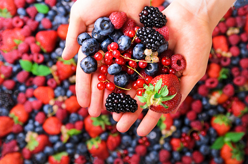 Woman hands holding organic fresh berries against the background of strawberry, blueberry, blackberries, currant, mint leaves. Top view. Summer food. Vegan, vegetarian and clean eating concept
