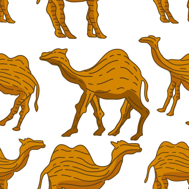 Hump Pattern Texture 530+ Hump Backgrounds Illustrations, Royalty-Free Vector Graphics ...