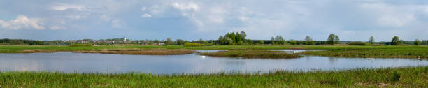 istock Panorama landscape with Biebrza river, swans and clouds in springtime. 1147480960