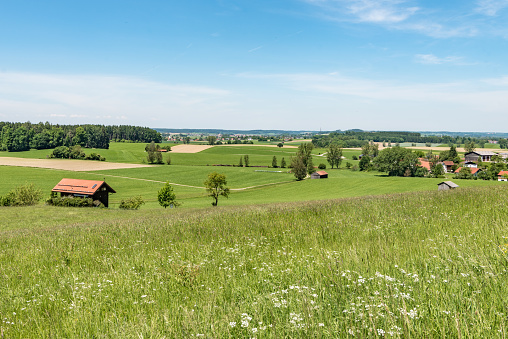 Beautiful idyllic landscape with hut in front of blue sky in Germany Bavaria