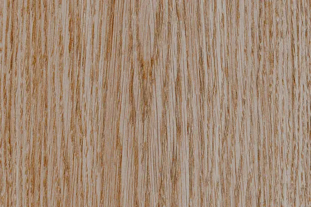 old pale fade wood color timber tree wooden surface wallpaper structure texture background