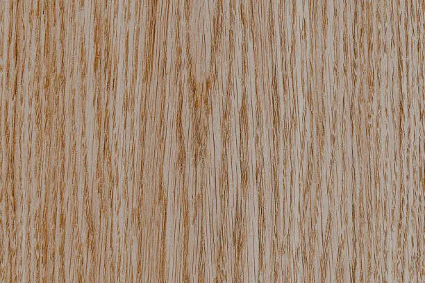 old pale fade wood color timber tree wooden surface wallpaper structure texture background