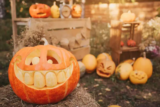 Photo of Ghost pumpkins on Halloween. ead Jack on an autumn background. Holiday outdoor decorations