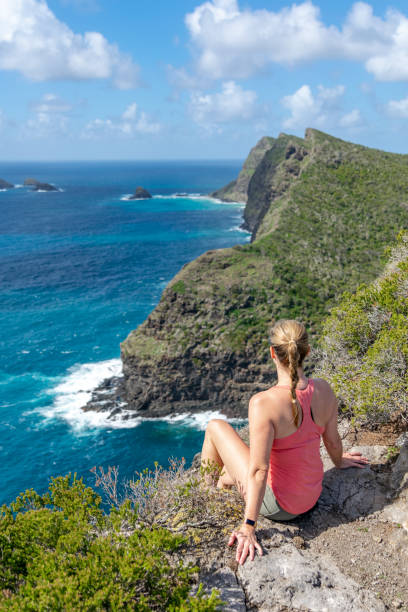 vista della costa nord dell'isola di lord howe, nuovo galles del sud, australia, vista dalla cima del monte eliza. malabar hill sullo sfondo. vista posteriore della bella giovane escursionista femminile seduta sulla roccia. - lord howe island foto e immagini stock