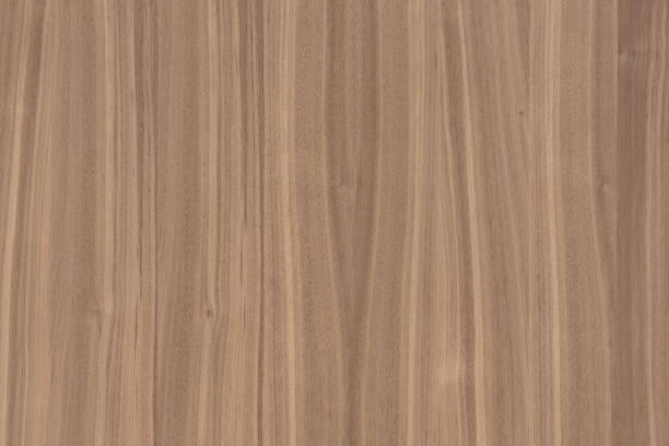 istock old pale fade wood color timber tree wooden surface wallpaper structure texture background 1147494822