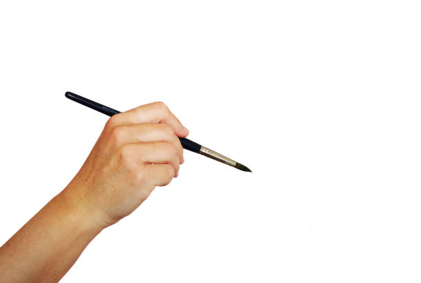 istock hand holding a brush on white background 1147497775