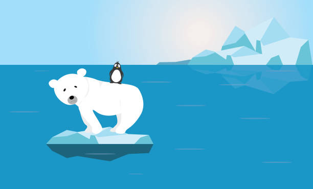 niedźwiedź polarny i pingwin martwi twarz na małym lodowisku w wektor oceanu - koncepcja problemu zmian klimatycznych - polar bear global warming ice bear stock illustrations