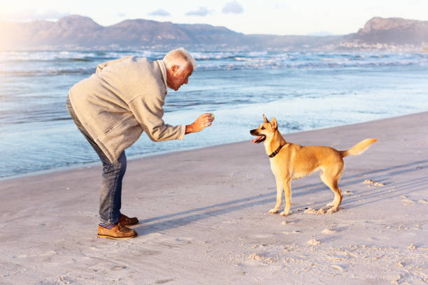 istock Senior man plays with pet dog on beach 1147507377