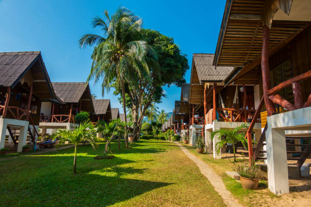 istock Walk path to exotic bungalow in tropic Thailand 1147510266