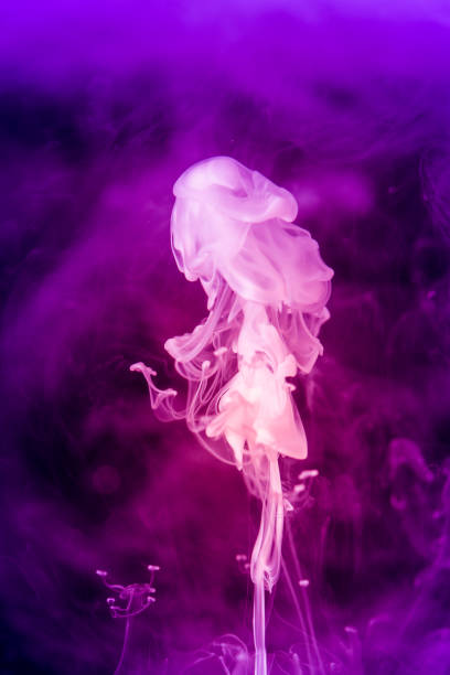 istock Colorful abstract cloud, water color liquid. 1147512050