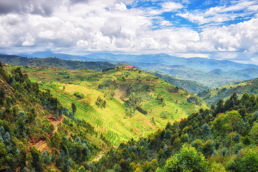 Paisaje rural Ruanda photo
