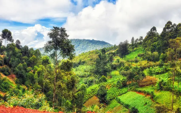 Typical landscape in the borderlands between Uganda and Rwanda