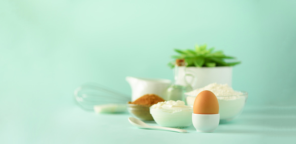 Healthy baking ingredients - butter, sugar, flour, eggs, oil, spoon, brush, whisk, milk over blue background. Banner. Bakery food frame, cooking concept with succulent plant. Copy space