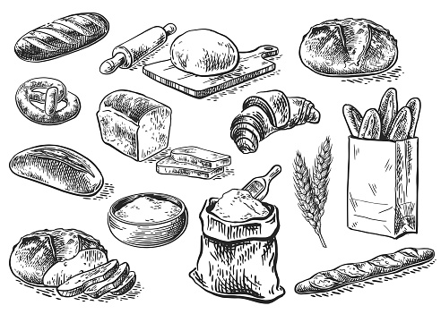 Bread vector hand drawn set illustration in graphic style. Other types of wheat, flour fresh bread. Vector hand drawn vintage engraving illustration for poster, label and menu bakery shop