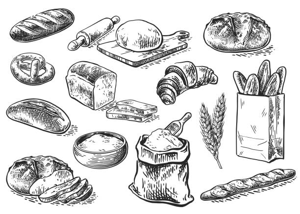 bread sketch set Bread vector hand drawn set illustration in graphic style. Other types of wheat, flour fresh bread. Vector hand drawn vintage engraving illustration for poster, label and menu bakery shop french food stock illustrations