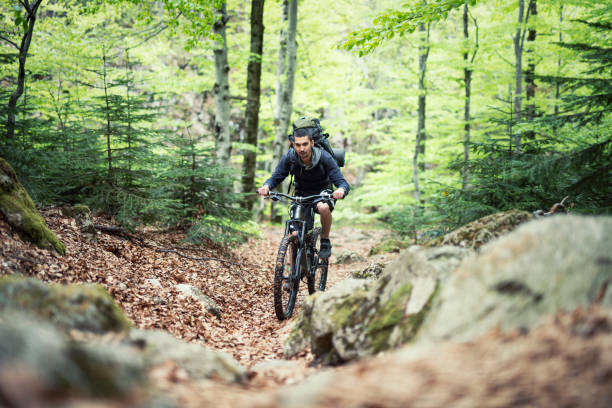 istock Bicycle riding in beautiful forest at springtime season. 1147519416