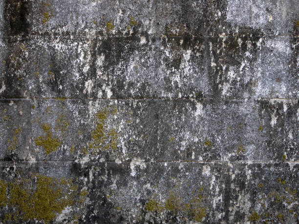 istock The old brick box background has passed for a long time. 1147522565