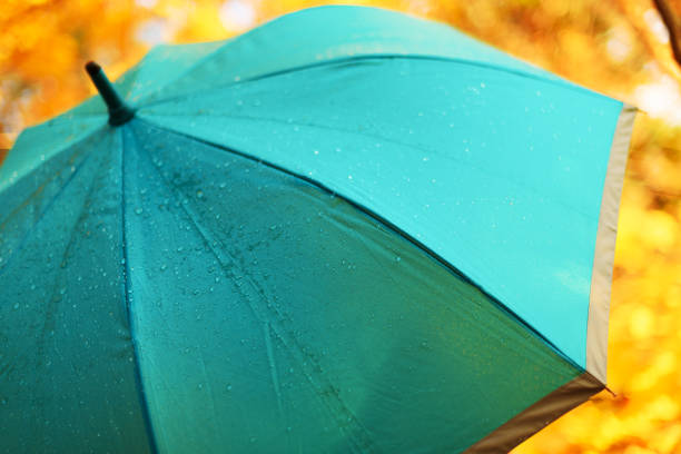 Blue umbrella with rain drops. Autumn weather concept.