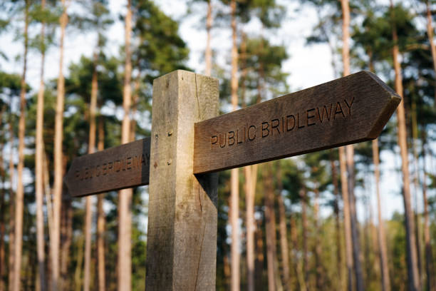 istock A Wooden public bridleway sign 1147524636