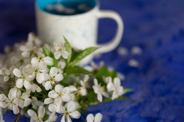 istock Spring tea with petals of cherry blossoms on a blue background 1147524667