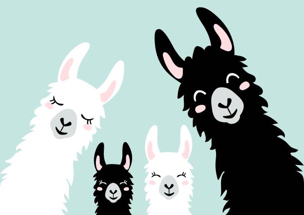 ilustraciones, imágenes clip art, dibujos animados e iconos de stock de llama alpaca. la tarjeta klan. ilustración familiar, vector-vector - alpaca